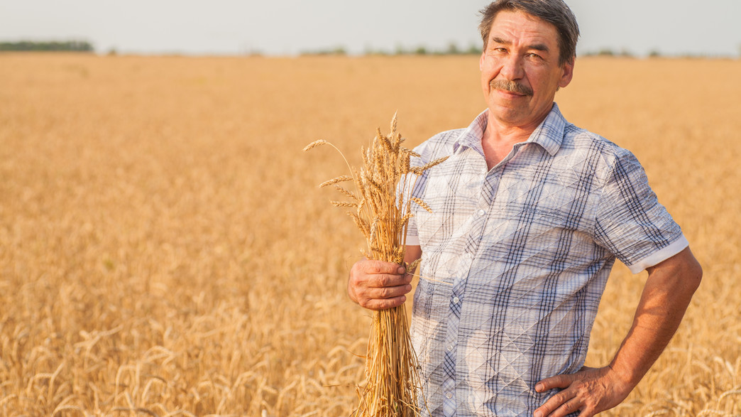 עובדים בחג שבועות עובדים בחג שבועות