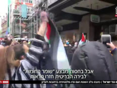 מפגינים נגד ישראל (צילום: חדשות)