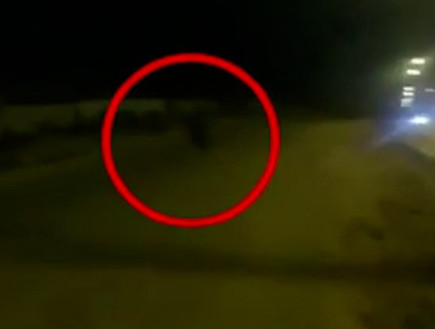 צעיר בדואי זרק אבנים ונעצר, השופטת החליטה לשחררו
