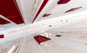 miv08_vtr2_n20210519_v2 (צילום: חדשות)