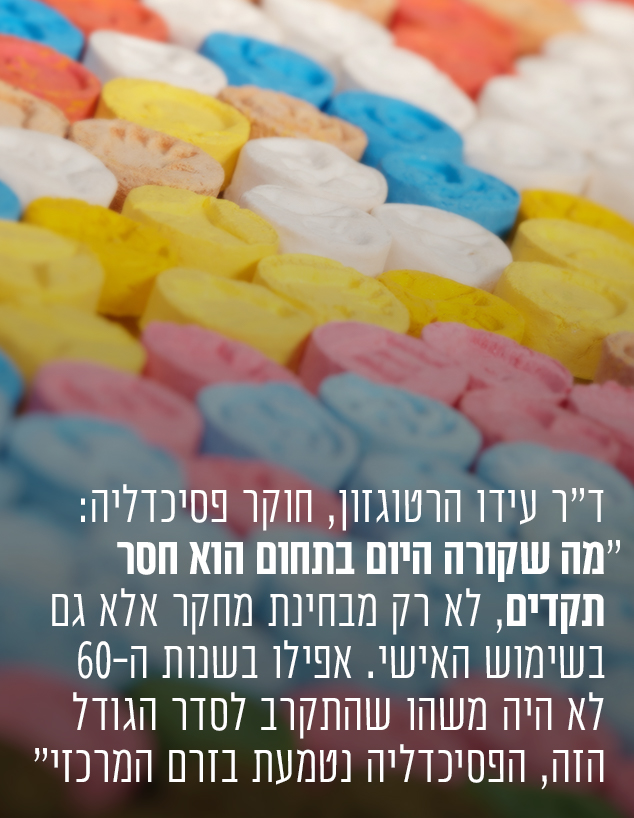 פטריות הזיה (צילום: סאלי פאראג)