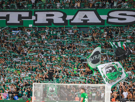 הקהל הירוק בטירוף