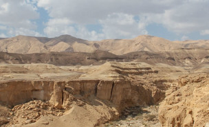 מסע ישראלי לנגב (צילום: עומר מרקובסקי, מתוך אתר פיקיויקי, מסע ישראלי)