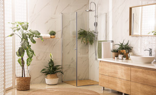 חדר רחצה עם מקלחון (צילום:  New Africa, Shutterstock)