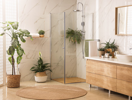 חדר רחצה עם מקלחון (צילום:  New Africa, Shutterstock)