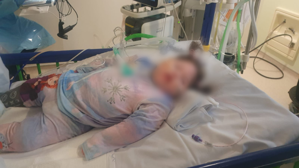 אלטה פיקסלר אלטה פיקסלר