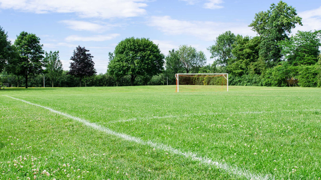 מגרש כדורגל