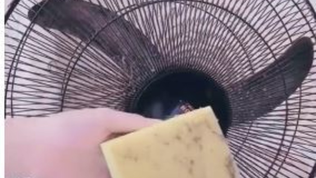 מאוורר מאוורר