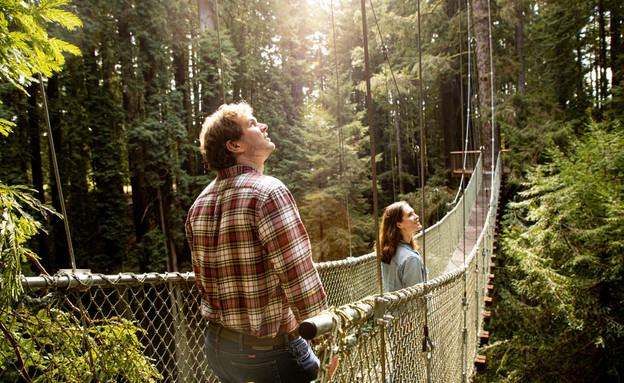 Redwood SkyWalk (צילום: ELA/Amy Kumler)