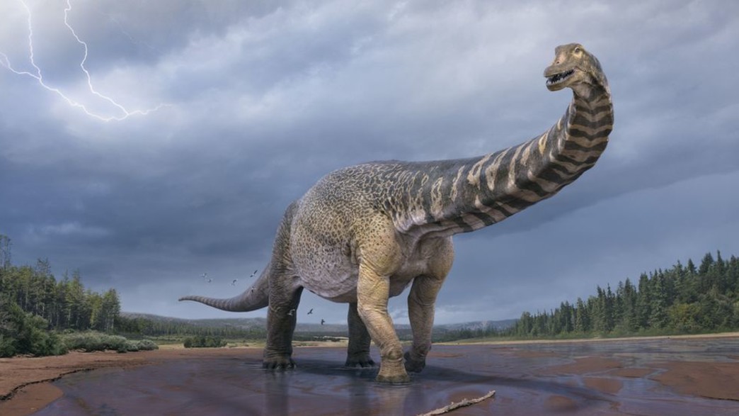 הטיאטן הדרומי, הדינוזאור הענק שהתגלה באוסטרליה