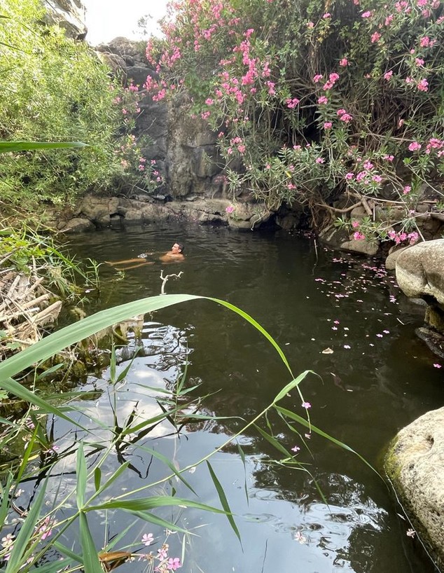 בריכות נסתרות ביהודיה (צילום: ארז דגן)