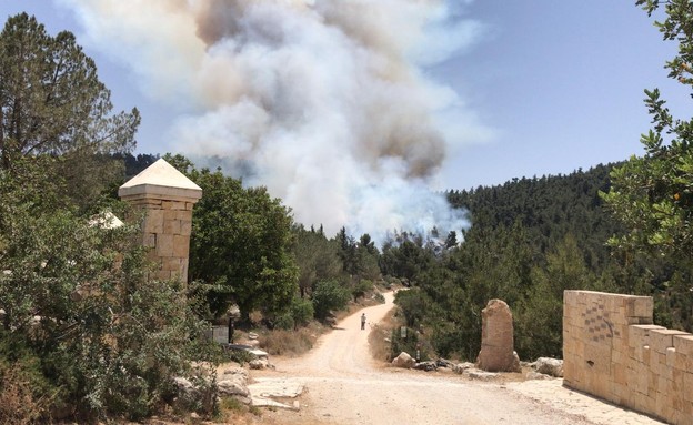 שרפה בהרי ירושלים (צילום: חדשות 12)