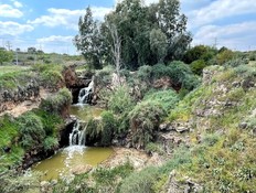 מפלי בזלת נחל חרוד (צילום: גילה יעקובי גורביץ)