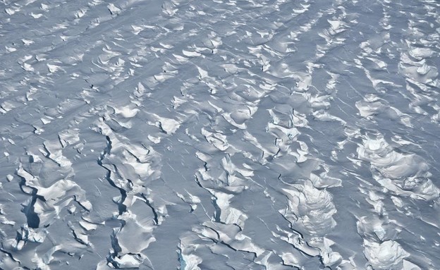 מדף הקרח באנטרקטיקה (צילום: Ian Joughin, AP)