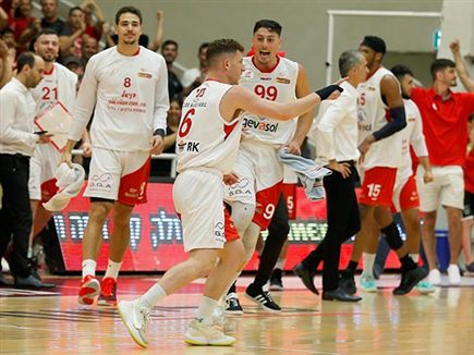 חגיגות מקומיות (אלן שיבר)