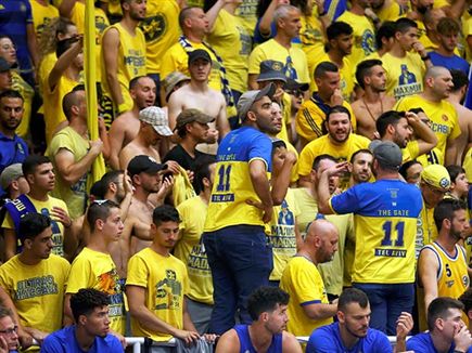 קיוו לחגוג בסיום הערב (אלן שיבר)