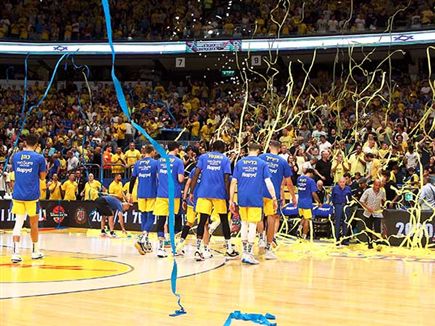 האוהדים הצהובים יכולים לחגוג (אלן שיבר)