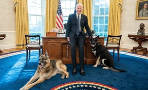 הכלבים של ביידן (צילום: הבית הלבן)