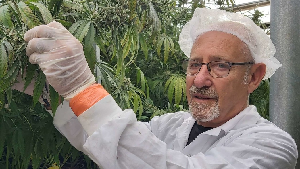 אנריקה סנצ'ז