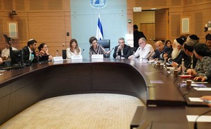 דיון הוועדה המסדרת בכנסת (צילום: נועם מושקוביץ, דוברות הכנסת)