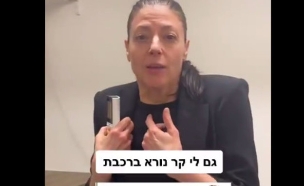 מרב מיכאלי (צילום: tiktok)