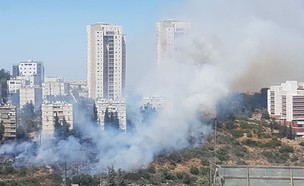 שרפה בחיפה: בניין מגורים פונה, האש מתקדמת לעבר בית (צילום: דוברות כבאות והצלה)