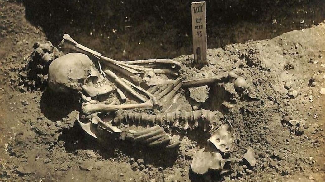 נמצאה סיבת מוות בן 3,000 שנים