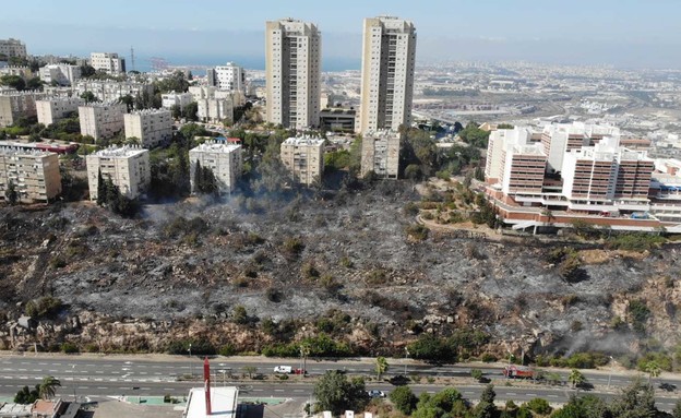 הסיגריות שגרמו לשרפה בחיפה (צילום: כבאות והצלה מחוז חוף)