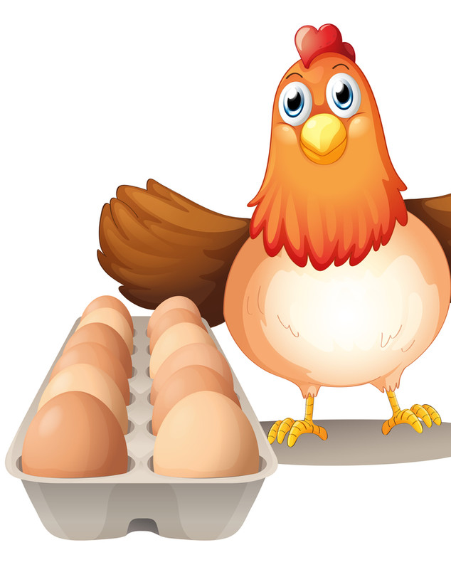 תרנגולת ליד מגש ביצים על רקע לבן (איור: White Space Illustrations, shutterstock)