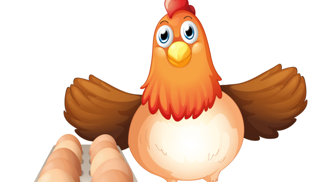 תרנגולת ליד מגש ביצים על רקע לבן