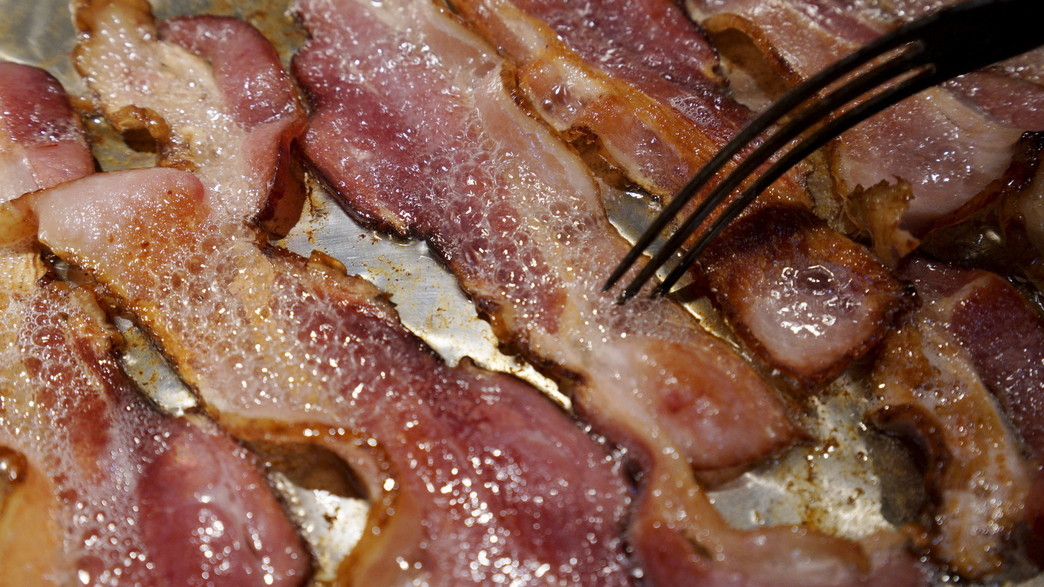 בייקון, קותלי חזיר