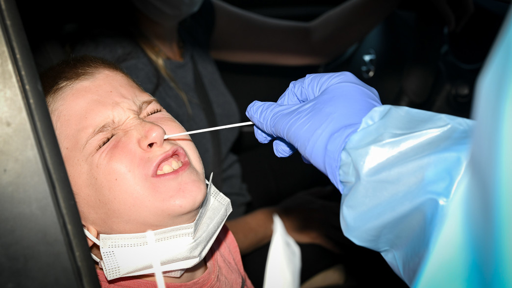 בדיקת קורונה במתחם בדיקות דרייב אין ברמת הגולן בדיקת קורונה במתחם בדיקות דרייב אין ברמת הגולן