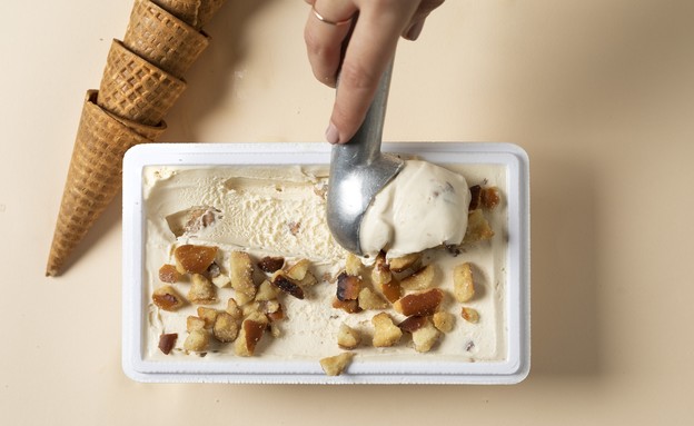 גלידת סניידקס בוניליה (צילום: דניאל לילה,  יח