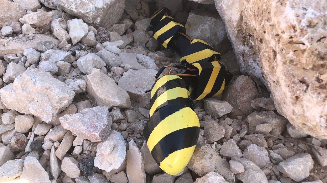 נחש רובוטי שיסייע ללכודים נחש רובוטי שיסייע ללכודים