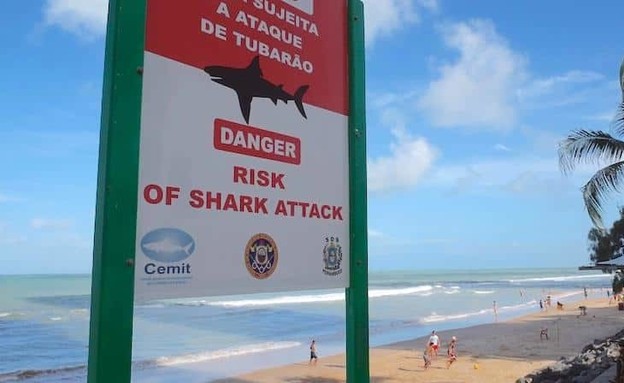 גבר בברזיל נטרף על ידי כריש (צילום: סעיף 27א לחוק זכויות יוצרים)