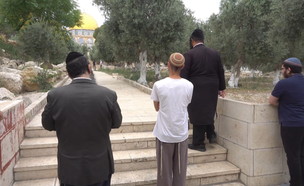 היהודים שלא מוותרים ועולים להר הבית להתפלל (צילום: החדשות 12)