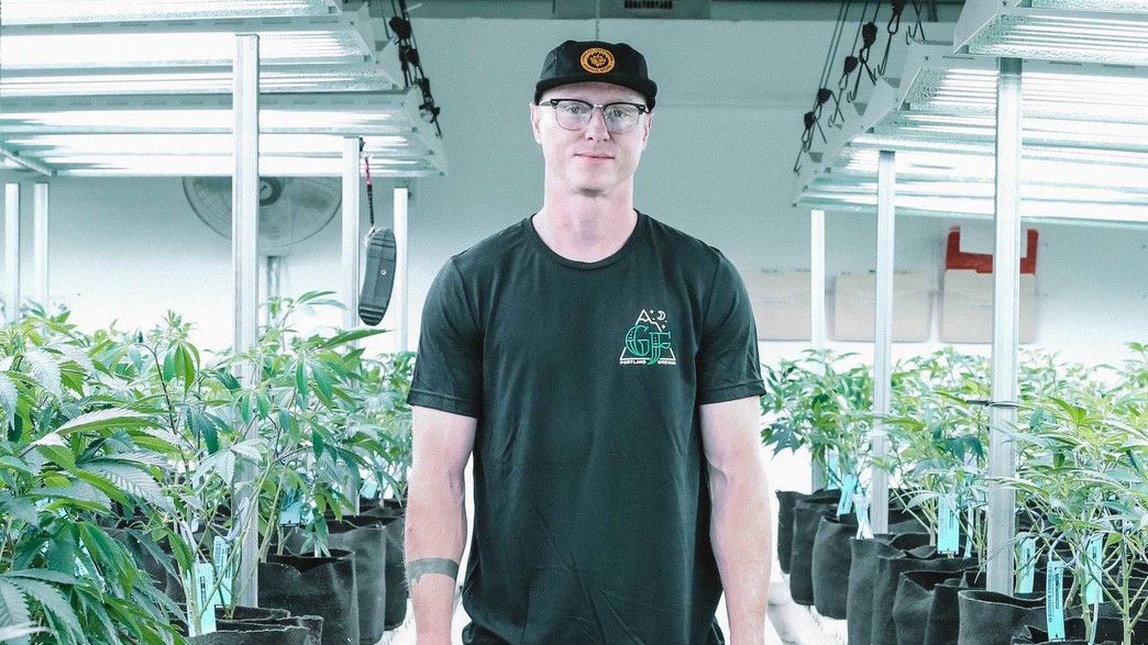 קנאביס רפואי