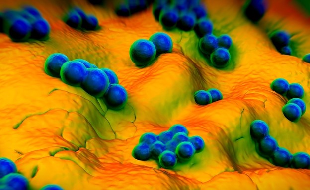 Over a million deaths a year from antibiotic – resistant bacteria