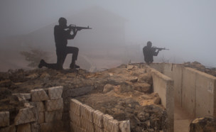 הגולן הסורי (צילום: AP)