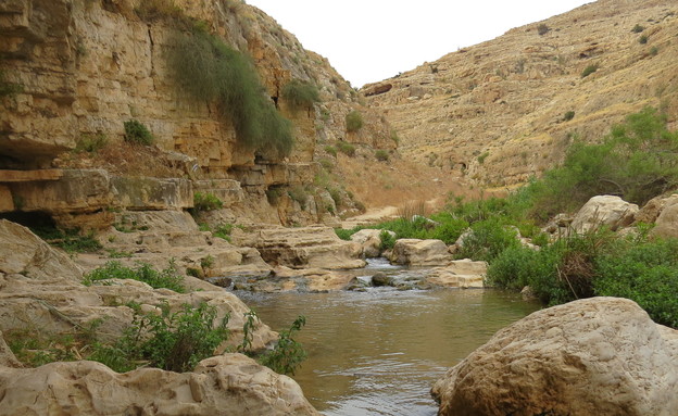 נחל פרת (צילום: ליעוז ראובני)