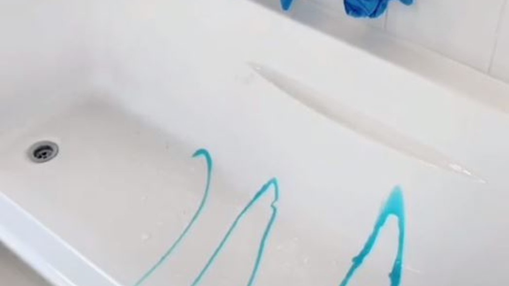 carolina.mccauley carolina.mccauley