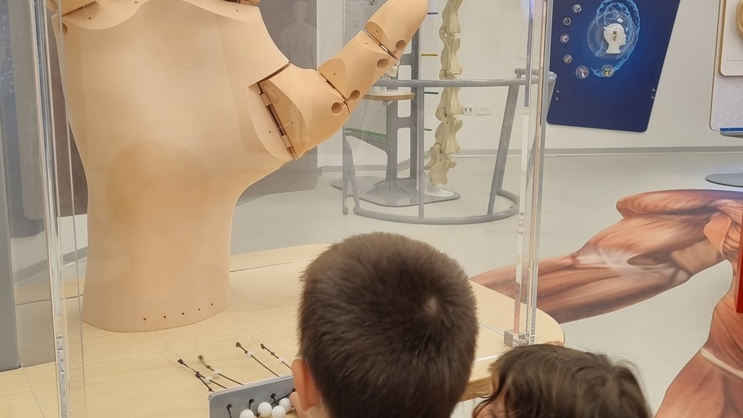 מוזיאון הרפואה הראשון בישראל מוזיאון הרפואה הראשון בישראל