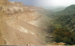 מחקר על מכרסם שחי במדבר יהודה לפני 100 אלף שנים (איור: איגנסיו לזגבסטר)