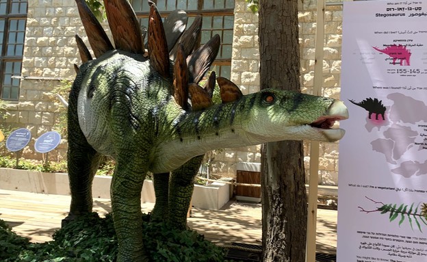 סודות הדינוזאורים במדעטק חיפה  (צילום: רעות עוזיאל)