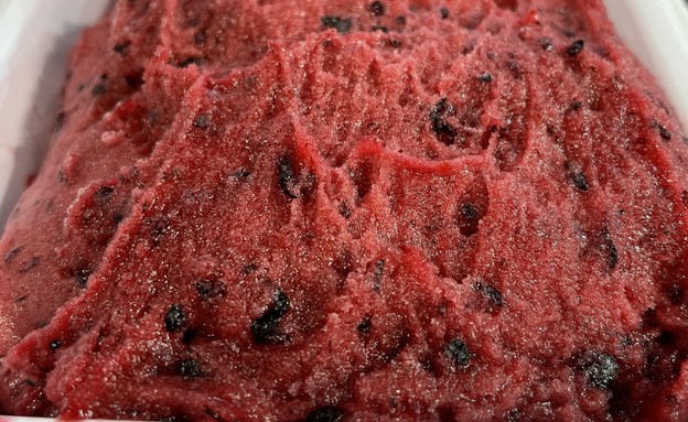 מיכאל גלידה מסטיק תות עץ  (צילום: ריטה גולדשטיין, mako אוכל)