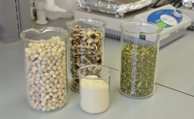 זרעים, עלים ואבקת חלבונים של מורינגה  (צילום: המכללה האקדמית תל-חי)