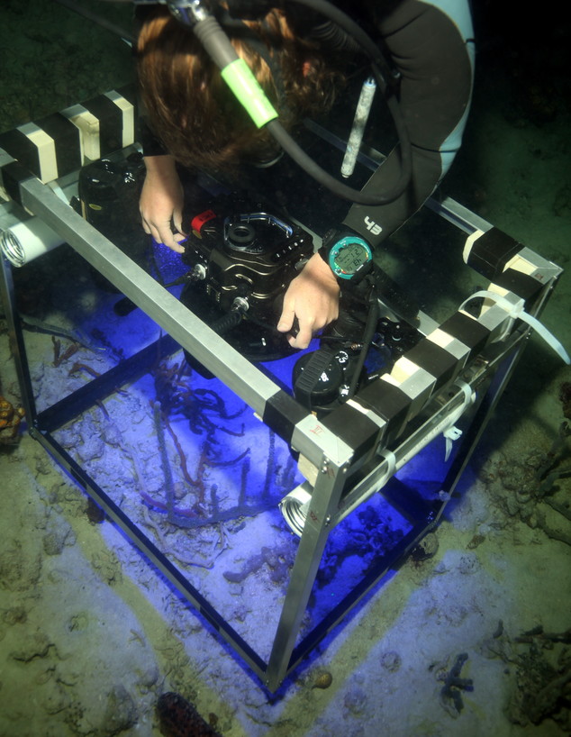 מצלמה מיוחדת לצילום מתחת למים (צילום: המעבדה לדימות תת-ימי, אוניברסיטת חיפה)