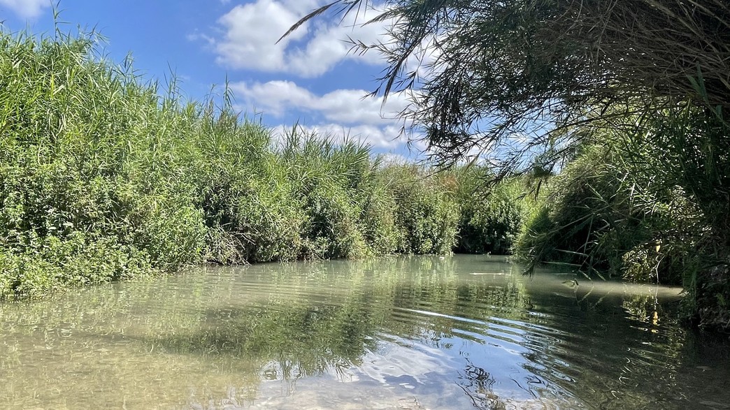 עין אביאל עין אביאל