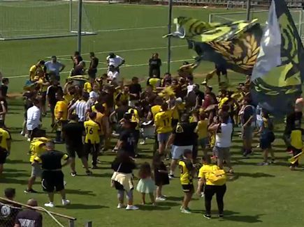 אווירה ססגונית בבית וגן