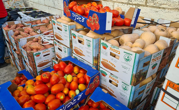 מחאת החקלאים: ארגזים של פירות וירקות מחולקים בחינם לציבור מחוץ לכנ (צילום: החדשות )